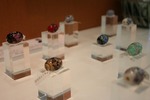 IMG_6168.jpg