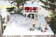 IMG_7545.jpg