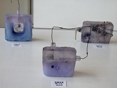 P6257443.jpg